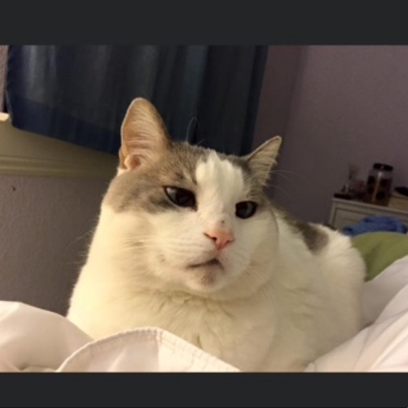 LIKE THIS LISTING TO BE NOTIFIED WHEN I GO LIVE W/AWESOME GOLD &PLAT JEWELRY 💕 - Picture 8 of 8